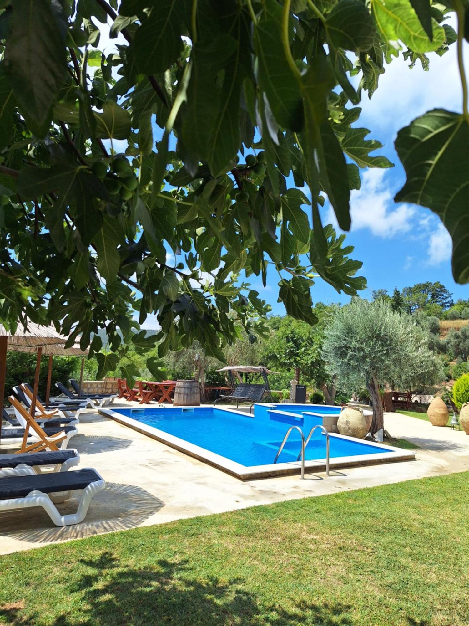 Rustic Villas Barlovic 울친 외부 사진