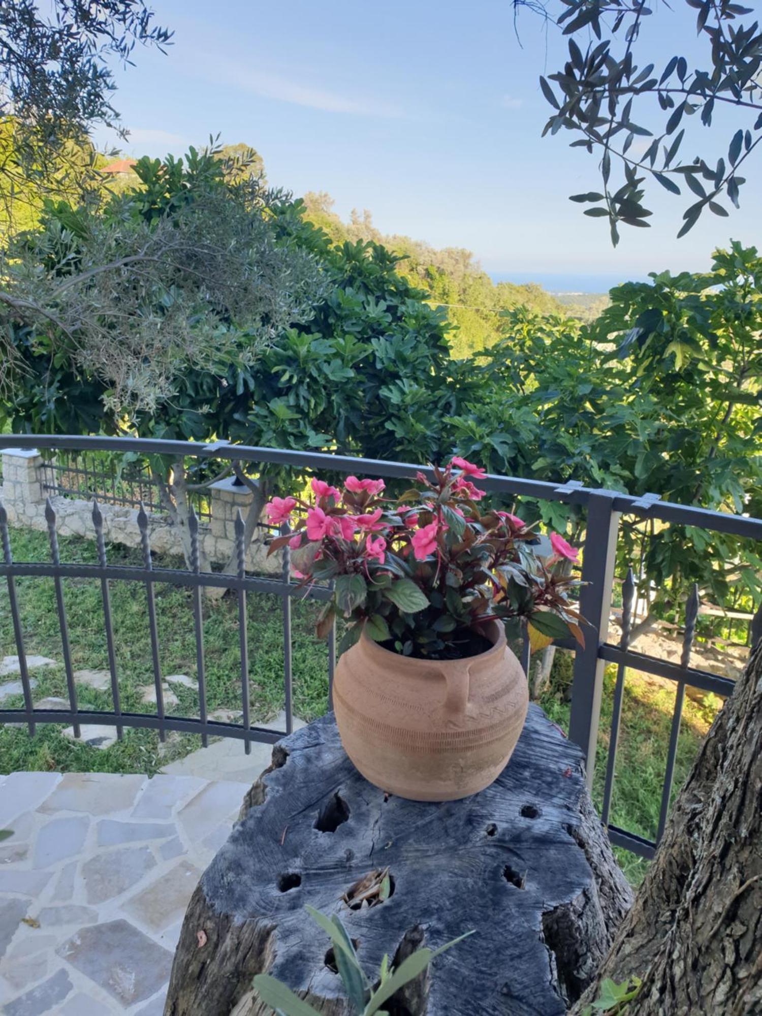 Rustic Villas Barlovic 울친 외부 사진